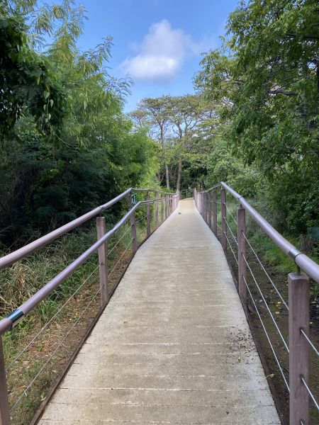Cost of Footpath Construction in Provo