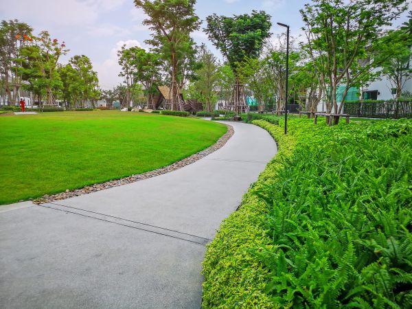 Cost of Cement Walkway Service in Provo